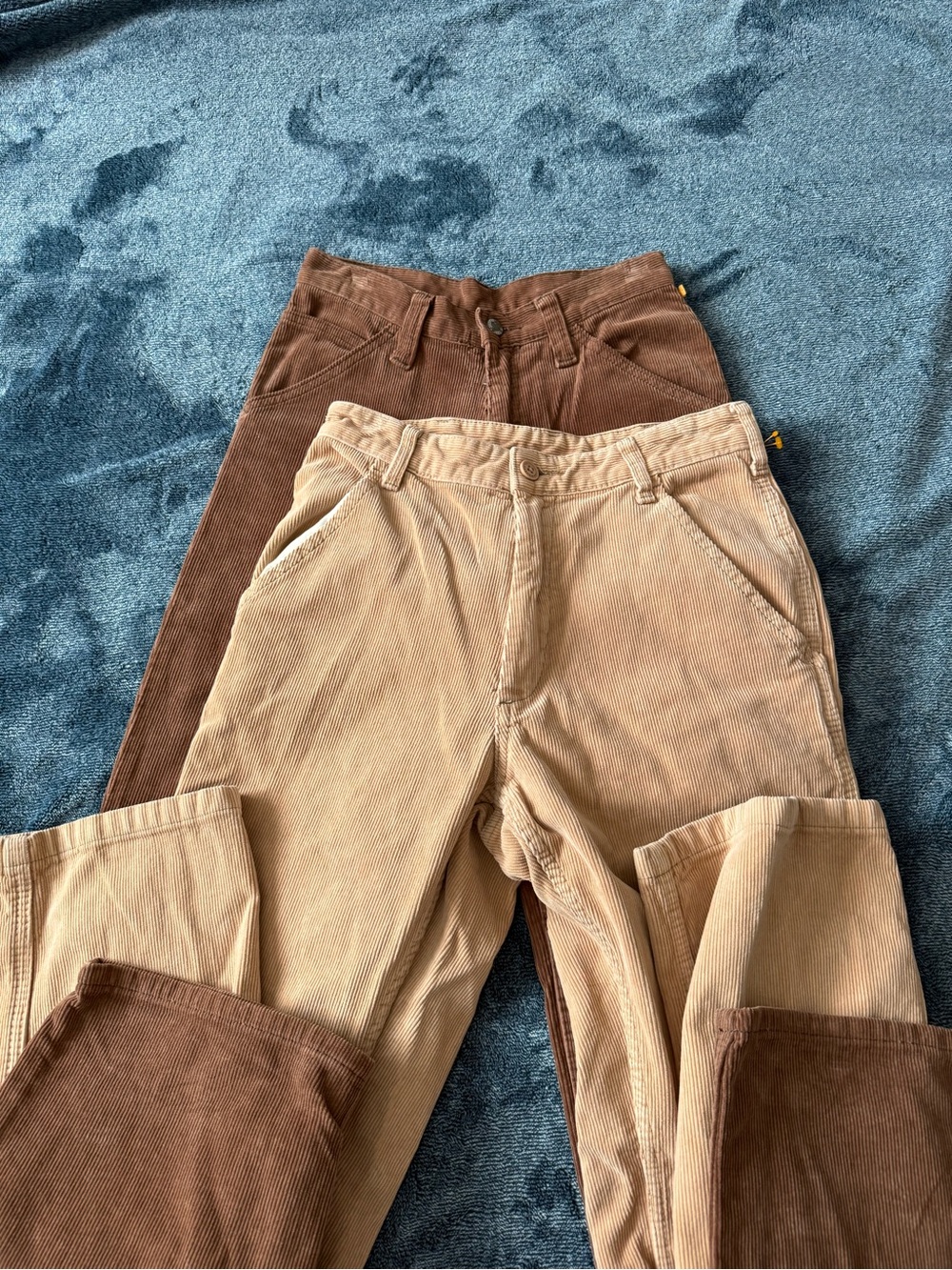 Pair of Corduroy Pants in Tan and Brown